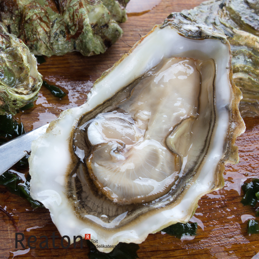 Ärge magage maha Reatoni augustikuu pakkumist #HoReCa klientidele!