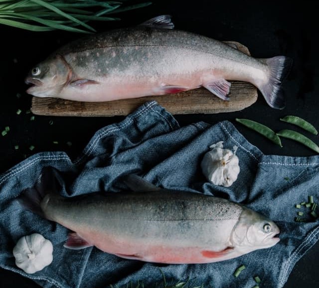 NAUJIENA - Arktinė palija (Arctic Char)